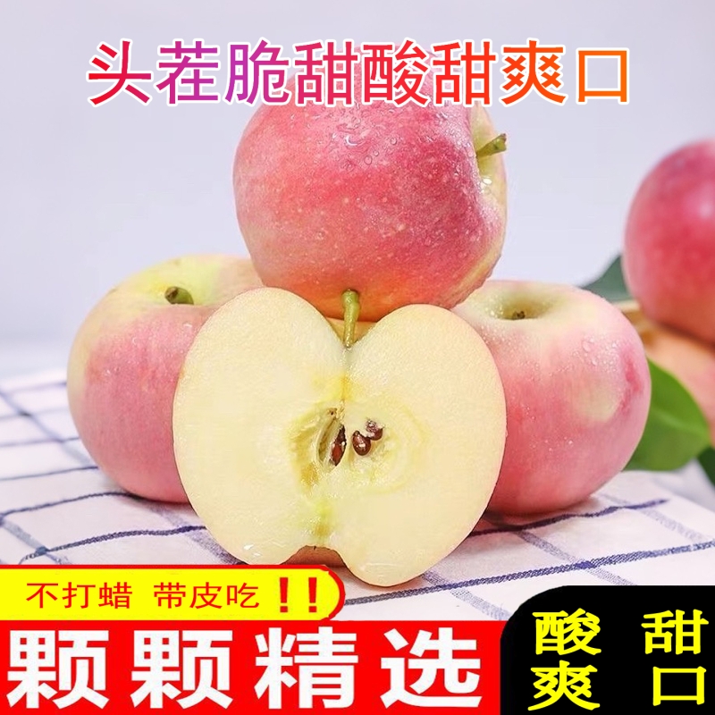 【现摘现发丑苹果】红富士苹果水果当季现摘新鲜脆甜冰糖心不打蜡
