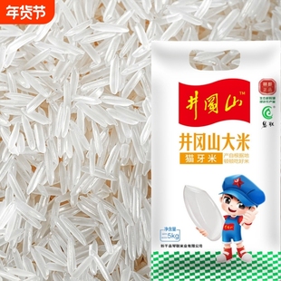 江西2025年新米猫牙米晚稻丝苗米超长粒香米大米厂家直销优质当季