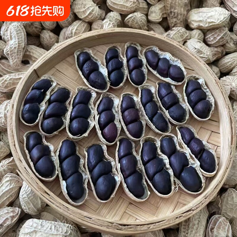2025年新货云南黑花生带壳富硒黑花生普洱黑花生种黑皮花生米