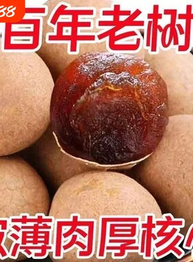 桂圆干货龙眼干桂圆干带壳大果壳薄小核零食新货优选精品新鲜枸杞