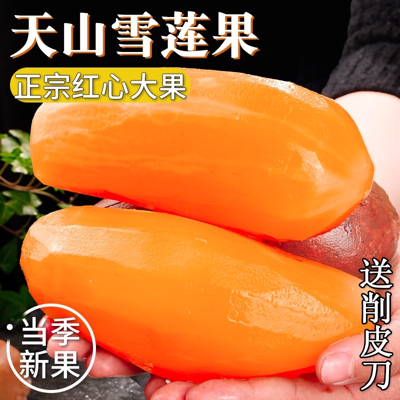 雪莲果9斤脆甜多汁当季新鲜