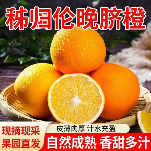 伦晚脐橙当季新鲜橙子水果秭归应季甜橙整箱包邮时令自提优选现摘