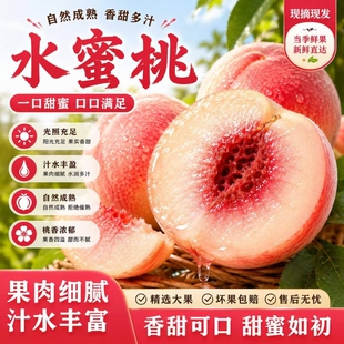 水蜜桃新鲜水果现货现摘脆桃毛桃时令桃子当季整箱包邮鲜果采摘