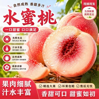水蜜桃新鲜水果现货现摘脆桃毛桃时令桃子当季整箱包邮鲜果采摘
