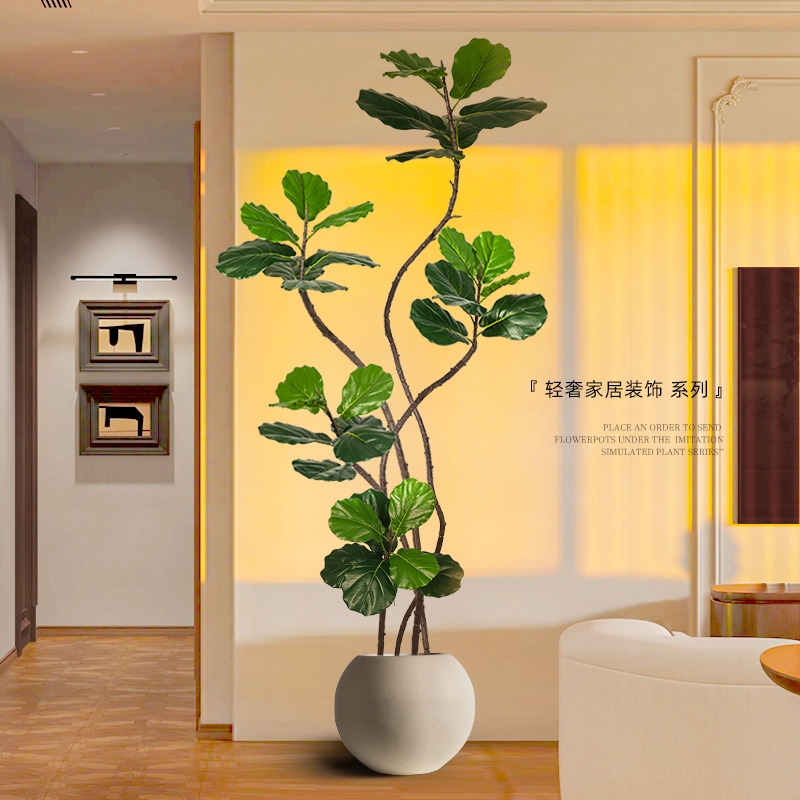 未欧琴叶榕田园琴叶榕软装好物