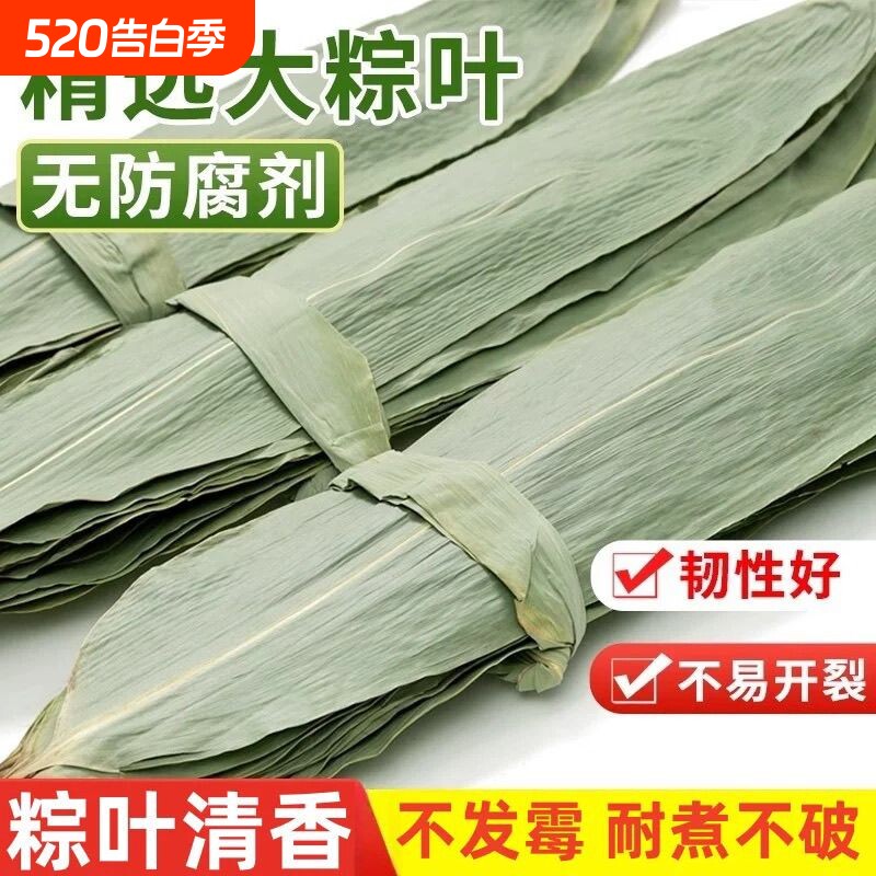 特大号野生干粽叶新鲜包粽子箬叶端午必备粽叶干大号家用粽子叶干
