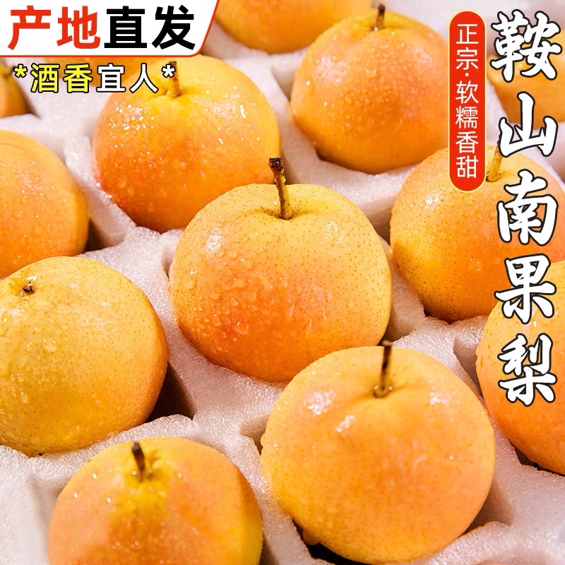 礼盒装顺丰包邮鞍山特产南果梨现摘南果梨东北南果梨新鲜当季水果