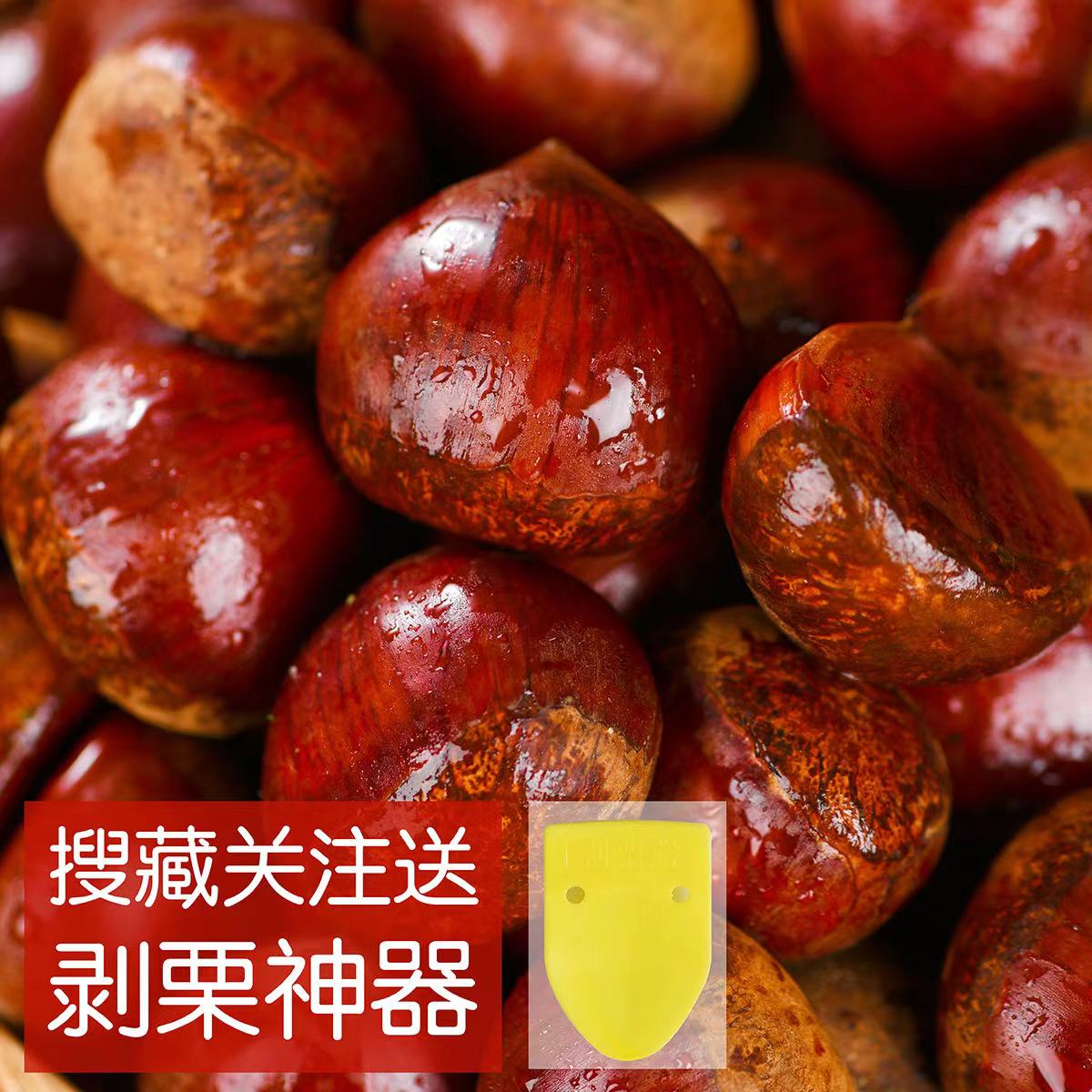 丹东板栗生新鲜现摘板栗生栗子生粟子板票鲜应季水果蔬菜