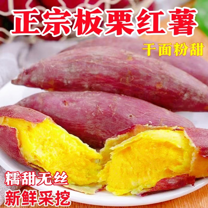 正宗板栗红薯番薯地瓜新鲜栗子黄绵密粉糯香甜黄心板栗农家自种,水产肉类/新鲜蔬果/熟食,番薯,淘宝优惠券,粉丝福利购,淘宝优惠卷