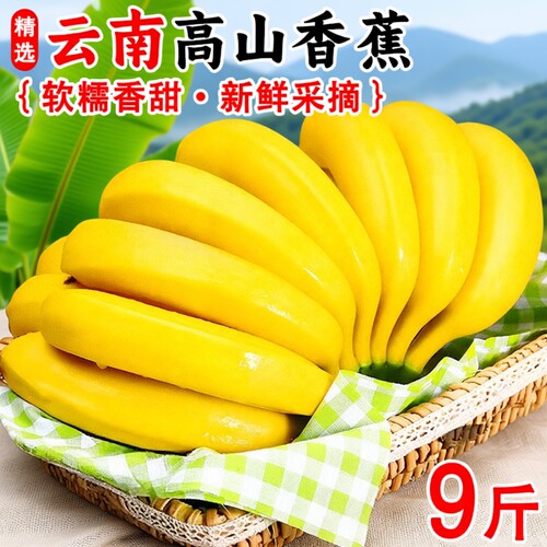 高山大香蕉当季新鲜水果青皮香蕉