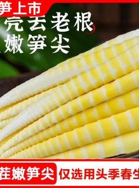 2026野生小竹笋小春笋清水笋嫩笋尖火锅笋鲜笋高山嫩竹笋商用批发