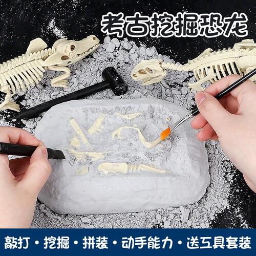 霸王龙骨架DIY手工拼装模型