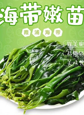 霞浦爽口海带苗盐渍海带嫩苗新鲜低卡火锅食材凉拌绿色特产批发