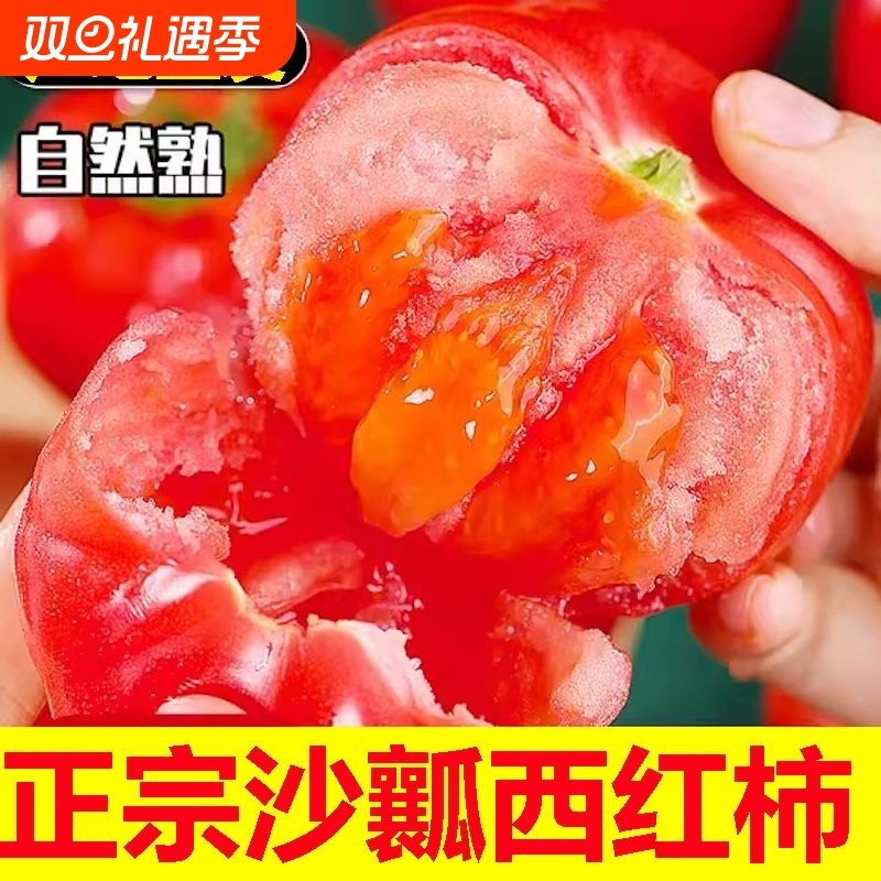 攀枝花米易露天沙瓤西红柿非普罗旺斯现摘新鲜自然熟生吃水果番茄