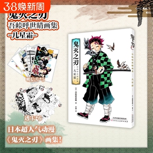 【特典版赠明信片*5+透卡*6】鬼灭之刃吾峠呼世晴画集-几星霜- 决战无限城炭治郎公式书鬼杀队见闻录 简体中文版日本漫画书籍