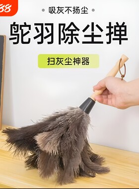 鸵鸟毛除尘掸家用清洁