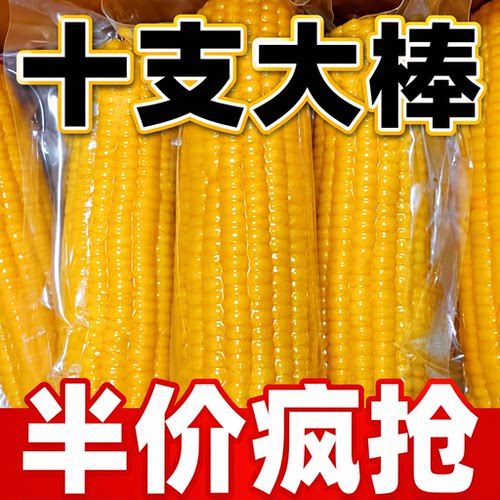 头茬东北黄糯玉米香糯玉米真空包装糯玉米棒香甜玉米黏甜代餐低脂