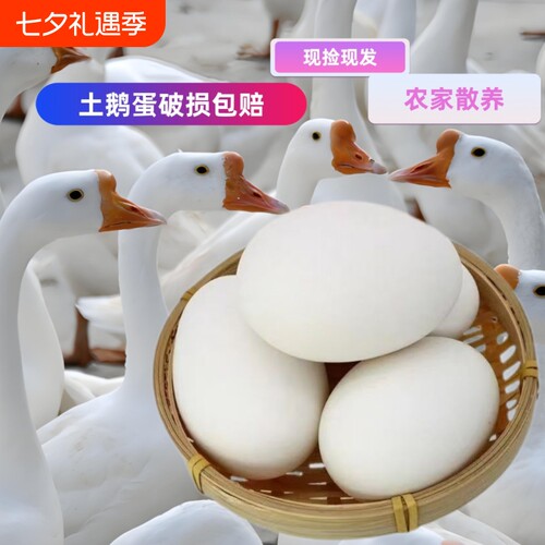 农家散养鹅蛋新鲜孕妇土鹅蛋大鹅蛋天然现捡现发