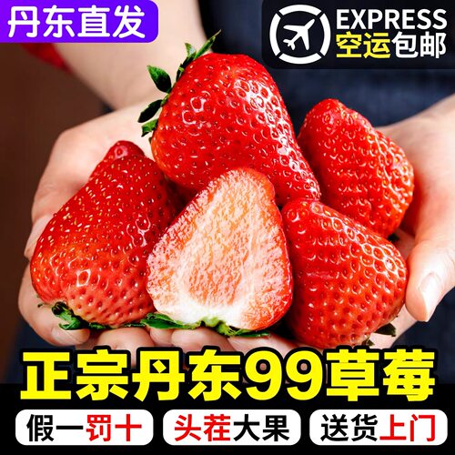 丹东草莓新鲜水果99红颜草莓奶油九九甜牛奶草莓正宗产地直发空运