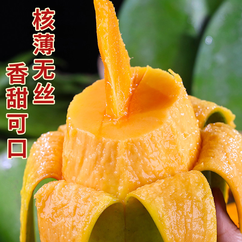正宗云南大青芒2斤起大芒果超甜当季水果批发多规格新鲜水果