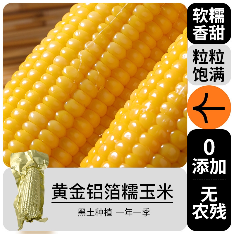东北粘玉米黄糯玉米铝箔包装黄苞米精选大棒现摘新鲜甜玉米真空装