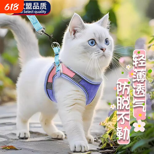 宠物达人推荐！猫咪牵引绳防挣脱