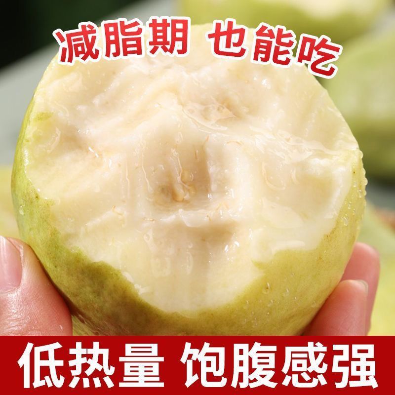 广东软糯白心芭乐当应季新鲜水果奶油番石榴芭乐孕妇水果软心农场