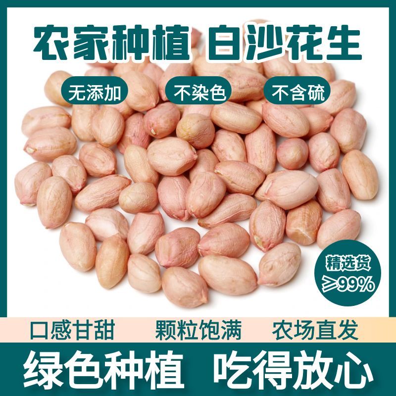 白沙花生米生新货特级大粒花生仁新鲜粉红皮晒干种子榨油