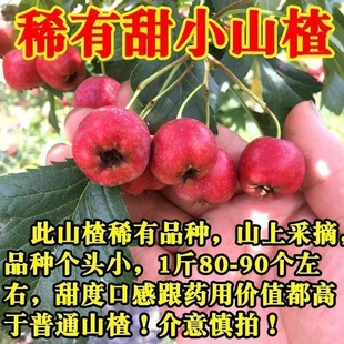 2025现摘现发新鲜山楂果红果山里红酸甜开胃小甜山楂自然成熟甜口