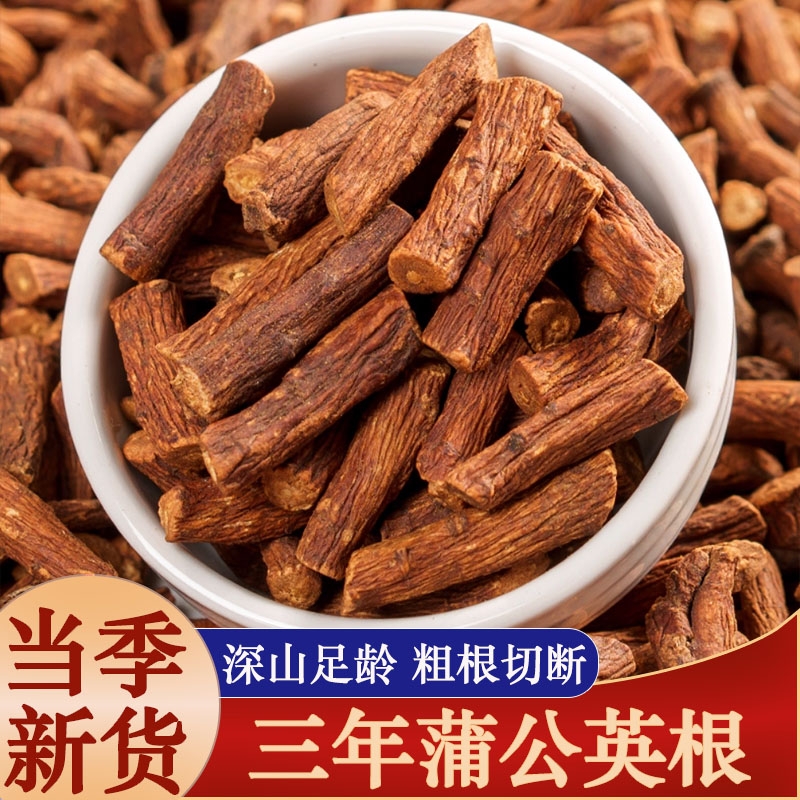 野生蒲公英根茶中药材正品长白山蒲公英整根新茶干蒲公英茶大根