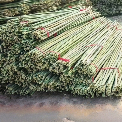 竹竿菜园搭架蔬菜黄瓜豆角架杆竹篱笆栅栏小竹子细竹竿爬藤架围栏