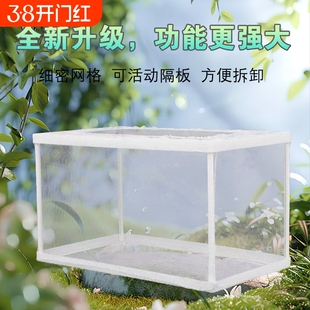 鱼缸内隔离网水族箱隔离器隔离盒网鱼缸孵化器繁殖箱孵鱼槽孵化鱼