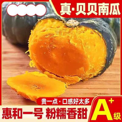 贝贝南瓜板栗味南瓜新鲜现摘