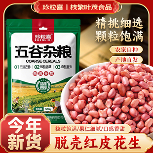 红皮花生仁云南当季花生饱满无杂去壳生花生米爆款新鲜可油炸花生