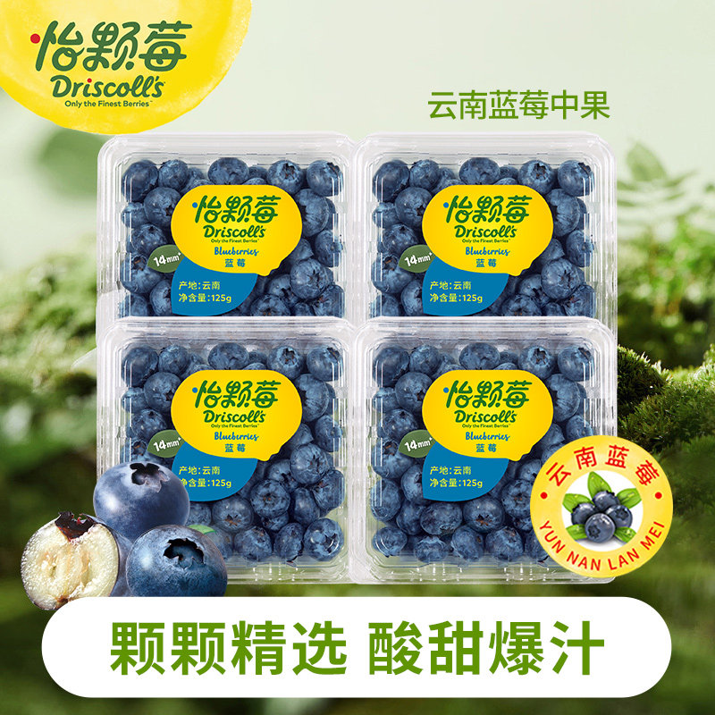 怡颗莓云南蓝莓新鲜水果酸甜口感孕妇125g/盒顺丰包邮浆果大果