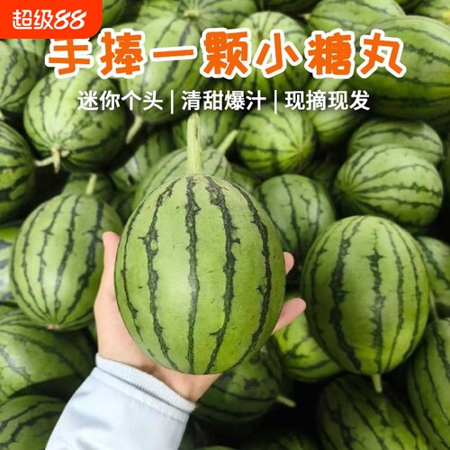 果园直发新鲜西瓜2k早春红玉西瓜手撕薄皮一整箱有籽无籽水果糖丸