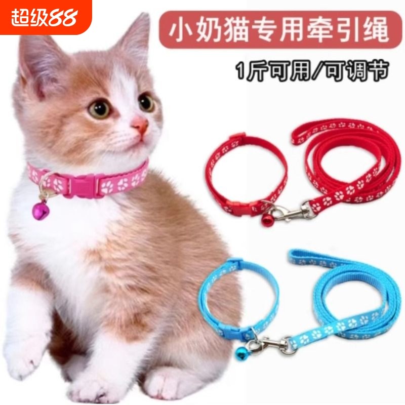 õ��ɫ��Ȧ+�� ��1.0CM����1.2m è��ǣ����С��è���������ר����Ȧ�ɵ�����è������è�����ײ�