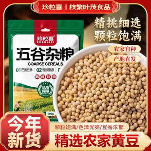 黄豆打豆浆专用当季新货农家自种黄豆老品种批发五谷杂粮发豆芽