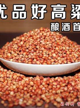 贵州本地红高粱带壳带皮喂鸽子