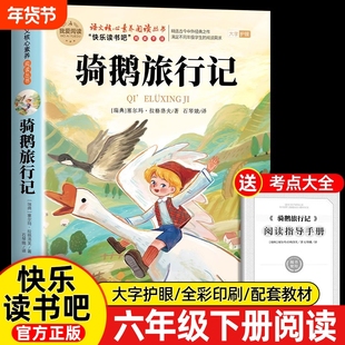 骑鹅旅行记原著正版六年级下册必读的课外书快乐读书吧鲁滨逊漂流记爱丽丝漫游奇境6阅读书籍汤姆索亚历险记宾孙书目版本名著过程