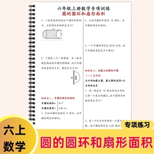 专项练习含答案 圆环和扇形面积 六年级上册数学 圆