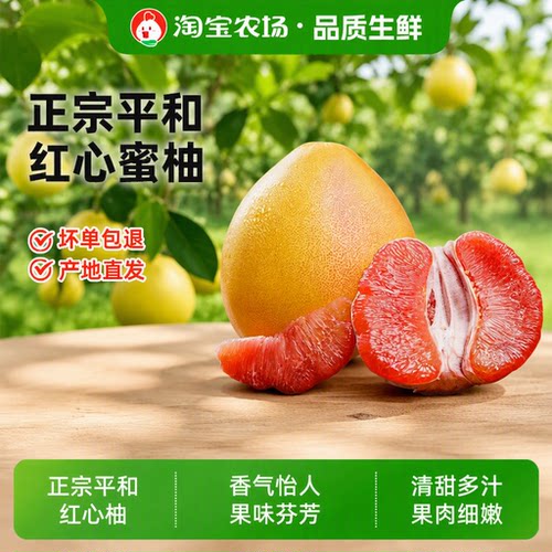 柚子老树福建平和红心蜜柚红肉应季水果清甜多汁农场新鲜现摘皮薄