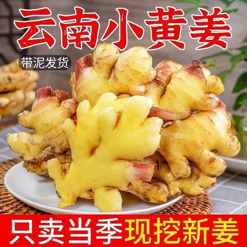 生姜老姜云南小黄姜3斤5斤9斤新鲜现挖高山沙姜土姜种子蔬菜食用图片