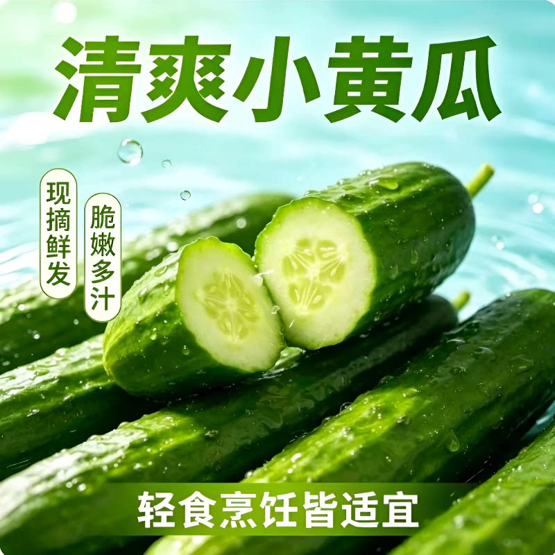 寿光新鲜现摘小黄瓜嫩青瓜生吃脆甜多汁爽口蔬菜零食蘸酱佳品即食
