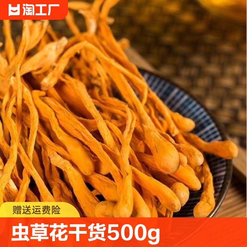 虫草花干货500g正品散装北虫草蛹虫草金虫草煲汤料云南菌菇 传统滋补营养品 蛹虫草 原图主图