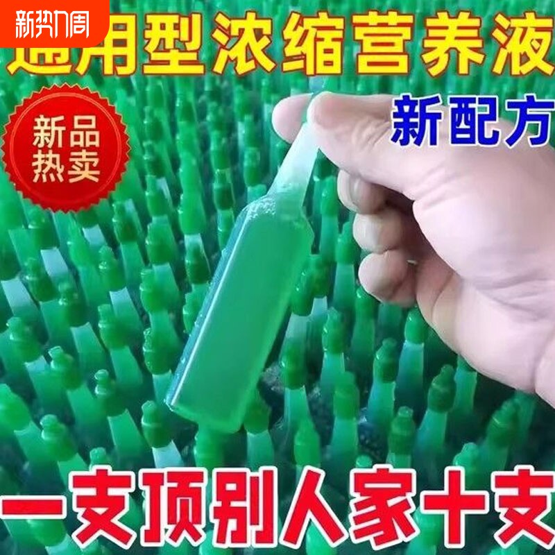 家用盆栽发财树富贵竹绿萝水培花卉植物营养液通用型绿植养花肥料