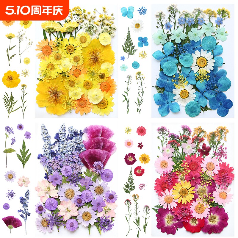 干花材料包diy永生花压花片草手工滴胶书签真花植物树叶标本樱花
