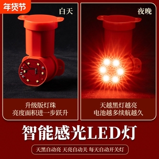 灯笼红色太阳能感光遥控led灯芯专用伴侣年货灯笼灯电池插电感应