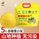 内蒙古赤峰黄小米K1熬糯粥杂粮一级2025新苗正宗婴儿黄金苗优质