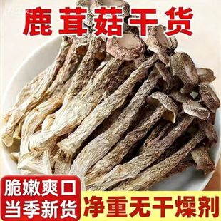 鹿茸菇干货鹿茸菌商用香菇煲汤炒菜批发新鲜蘑菇健康美味食材